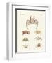 Different Kinds of Crabs-null-Framed Premium Giclee Print