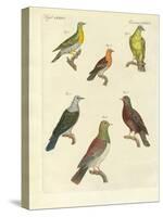 Different Kinds of Exotic Pigeons-null-Stretched Canvas