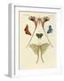 Different Kinds of Foreign Butterflies-null-Framed Giclee Print