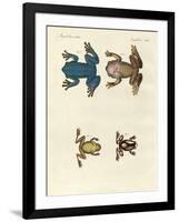 Different Kinds of Foreign Tree Frogs-null-Framed Giclee Print