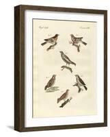 Different Kinds of Larks-null-Framed Giclee Print