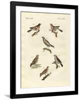 Different Kinds of Larks-null-Framed Premium Giclee Print