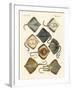 Different Kinds of Rays-null-Framed Giclee Print