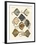 Different Kinds of Rays-null-Framed Giclee Print