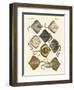 Different Kinds of Rays-null-Framed Giclee Print