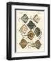 Different Kinds of Rays-null-Framed Giclee Print