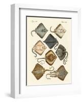 Different Kinds of Rays-null-Framed Giclee Print