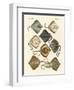 Different Kinds of Rays-null-Framed Giclee Print