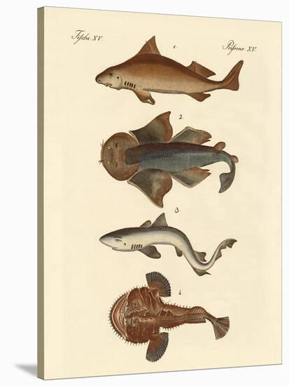 Different Kinds of Sharks-null-Stretched Canvas