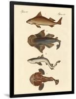 Different Kinds of Sharks-null-Framed Giclee Print