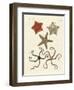 Different Kinds of Starfish-null-Framed Premium Giclee Print