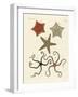 Different Kinds of Starfish-null-Framed Giclee Print