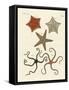 Different Kinds of Starfish-null-Framed Stretched Canvas