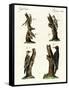 Different Kinds of Woodpecker-null-Framed Stretched Canvas