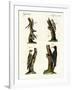 Different Kinds of Woodpecker-null-Framed Giclee Print