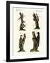 Different Kinds of Woodpecker-null-Framed Giclee Print