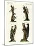 Different Kinds of Woodpecker-null-Mounted Giclee Print