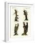 Different Kinds of Woodpecker-null-Framed Giclee Print