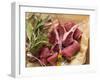 Different Meats with Bunch of Herbs-Eising Studio - Food Photo and Video-Framed Photographic Print