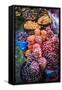 Different Potatoes for Sale at a Food Market in La Paz, La Paz Department, Bolivia, South America-Matthew Williams-Ellis-Framed Stretched Canvas