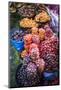 Different Potatoes for Sale at a Food Market in La Paz, La Paz Department, Bolivia, South America-Matthew Williams-Ellis-Mounted Photographic Print