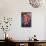 Different Potatoes for Sale at a Food Market in La Paz, La Paz Department, Bolivia, South America-Matthew Williams-Ellis-Photographic Print displayed on a wall