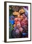 Different Potatoes for Sale at a Food Market in La Paz, La Paz Department, Bolivia, South America-Matthew Williams-Ellis-Framed Photographic Print