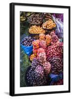 Different Potatoes for Sale at a Food Market in La Paz, La Paz Department, Bolivia, South America-Matthew Williams-Ellis-Framed Photographic Print