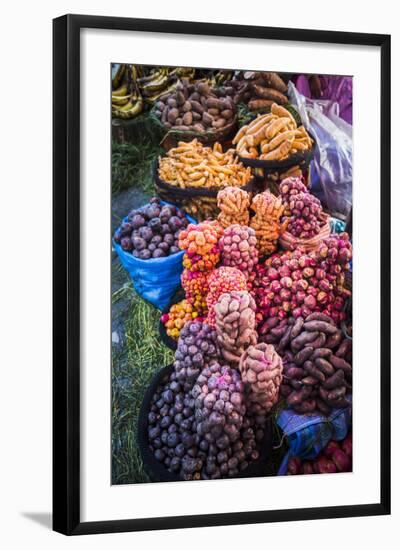 Different Potatoes for Sale at a Food Market in La Paz, La Paz Department, Bolivia, South America-Matthew Williams-Ellis-Framed Photographic Print