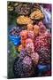 Different Potatoes for Sale at a Food Market in La Paz, La Paz Department, Bolivia, South America-Matthew Williams-Ellis-Mounted Photographic Print