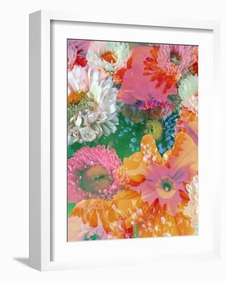 Different Summer Blossoms in Green Water in Yellow Orange White and Pink Tones-Alaya Gadeh-Framed Photographic Print