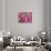 Different Summer Blossoms in Red and Pink Tones-Alaya Gadeh-Mounted Photographic Print displayed on a wall