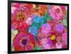 Different Summer Blossoms in Red and Pink Tones-Alaya Gadeh-Framed Photographic Print