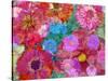 Different Summer Blossoms in Red and Pink Tones-Alaya Gadeh-Stretched Canvas