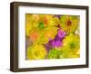 Different Summer Blossoms in Yellow Orange and Pink Tones-Alaya Gadeh-Framed Photographic Print