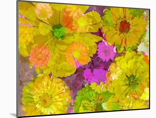 Different Summer Blossoms in Yellow Orange and Pink Tones-Alaya Gadeh-Mounted Premium Photographic Print