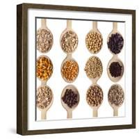 Different Type Of Seeds On Wooden Spoon-adamr-Framed Art Print