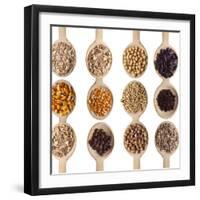 Different Type Of Seeds On Wooden Spoon-adamr-Framed Art Print