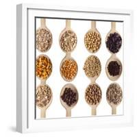 Different Type Of Seeds On Wooden Spoon-adamr-Framed Art Print