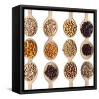 Different Type Of Seeds On Wooden Spoon-adamr-Framed Stretched Canvas