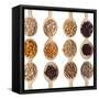 Different Type Of Seeds On Wooden Spoon-adamr-Framed Stretched Canvas