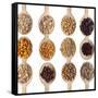 Different Type Of Seeds On Wooden Spoon-adamr-Framed Stretched Canvas