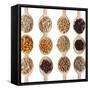 Different Type Of Seeds On Wooden Spoon-adamr-Framed Stretched Canvas
