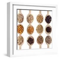 Different Type Of Seeds On Wooden Spoon-adamr-Framed Art Print