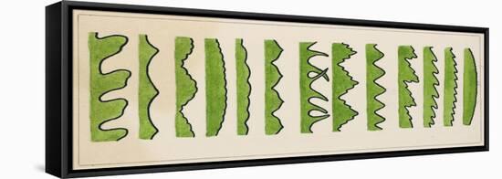 Different Types of Leaf Edges-null-Framed Stretched Canvas