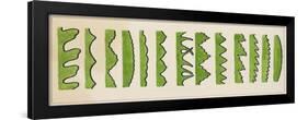 Different Types of Leaf Edges-null-Framed Giclee Print