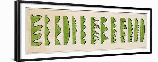Different Types of Leaf Edges-null-Framed Giclee Print