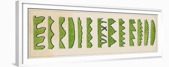 Different Types of Leaf Edges-null-Framed Giclee Print