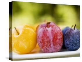 Different Types of Plums-null-Stretched Canvas