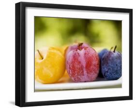 Different Types of Plums-null-Framed Photographic Print